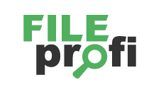 FileProfi - профессиональное восстановление данных в Магадане